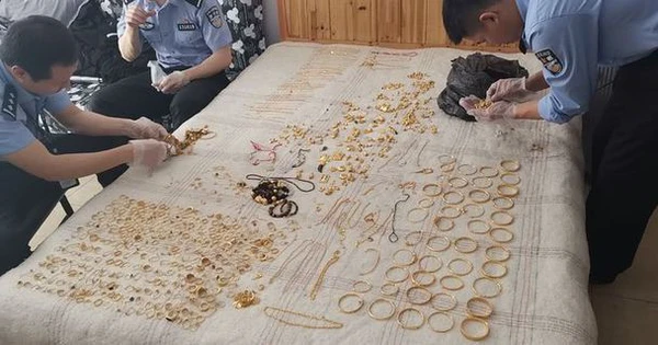 Quá trình điều tra