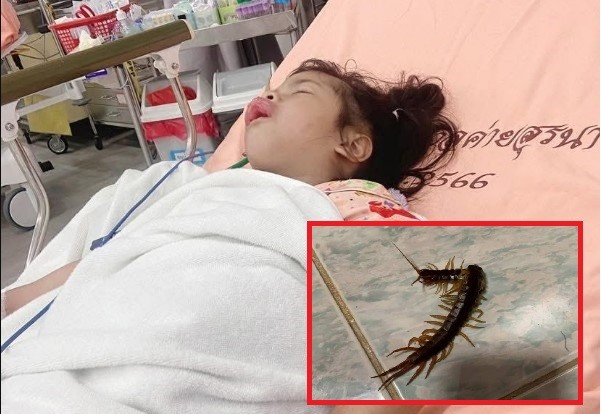 Tình huống đau lòng tại Thái Lan